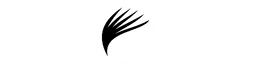Client 7